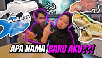 ADA LAGI YANG LAIN?? BAGI NAMA RARE UNTUK HAIWAN PELIHARAAN KAMI!!