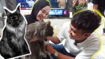 ALPHA DAH DAPAT AWEK BARU !!! SEMUA TEAM AI TAKUT DENGAN KUCING BARU ALICE…