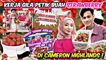 ASSRY PETIK BUAH DI CAMERON HIGHLAND ?!! ASSLAH BERJAYA BUAT HARRY CEMAS SEPANJANG HARI !!