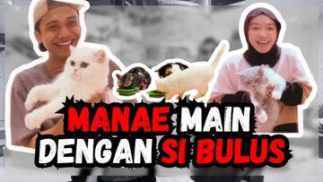 FAE NANGIS DI CAKAR KUCING. AIMAN HADIAHKAN FAE KUCING?