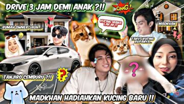 MADKHAN BAYARKAN HARGA KUCING ASSLAH?! DRIVE 3 JAM DEMI KUCING BARU, FINALLY TANJIRO DAH ADA ADIK !!