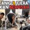 PRANK PUTUSKAN HUBUNGAN ANIQ & FIERA !!!
