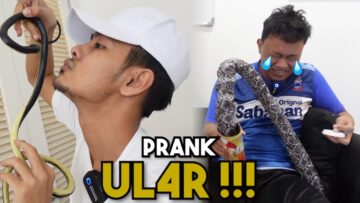 Prank ULAR Dekat BOY !!! Muka Garang Hati Tisu….