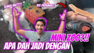 SAY GOODBYE TO MINI ZOO PAPAMAN ??!😭