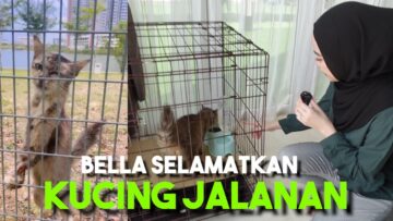 SELAMATKAN KUCING KAKI KUD0NG !!! WELCOME TO THE FAMILY KUNTOM…