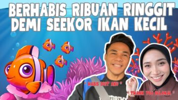 UNA HAFIZ GILAKAN IKAN SANGGUP HABIS DUIT!!! | SETUP AQUARIUM SALTWATER PULAK!!!
