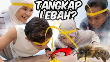 BATTLE PARTNERSHIP TANGKAP LEBAH ‼️ HAVOC 1 OFIS AI ‼️