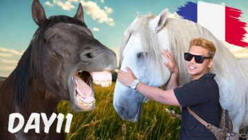 KUDA TERBESAR DALAM DUNIA !!LE HARAS DU PIN .