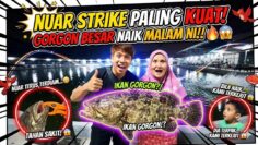 JORAN HAMPIR PATAH! 😱 NUAR BERGELUT TARIK GORGON TENGAH MALAM…‼️‼️