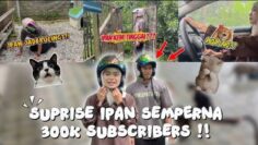 SUPRISE 300k SUBSCRIBER YT IRFAN GONE WRONG 😱‼️IRFAN TRAUMA DAH NAK BERPARTNER DENGAN PIQA 😤😤