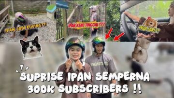 SUPRISE 300k SUBSCRIBER YT IRFAN GONE WRONG 😱‼️IRFAN TRAUMA DAH NAK BERPARTNER DENGAN PIQA 😤😤