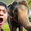 AKU JAGA GAJAH⁉️ RIAZ 1st TIME PEGANG‼️