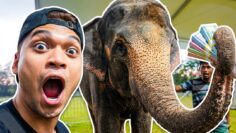 AKU JAGA GAJAH⁉️ RIAZ 1st TIME PEGANG‼️