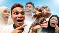 PRANK AI TEAM‼️ WEHH DIA BUKAK MULUT‼️