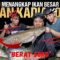 TETAMU JEMPUTAN!!, WANKADIAQ TAKUT IKAN SUNGAI?!, PANJANG&PENDEK BERAKSI TANGKAP IKAN 50KG⁉️