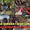 VLOG QURBAN PALING HAVOC!! ,SATU KAMPUNG TURUN PADANG!!,PENAT TAPI BERBALOI‼️
