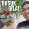 UMPAN ANIQ ROSAK⁉️ JUMPA ORANG JATUH DALAM SEMAK⁉️⁉️