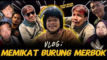 VLOG: MEMIKAT BURUNG MERBOK! KIKI PENYELAMAT NUAR?? NUAR KUMPAW