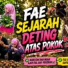 FAE SEJARAH MENCIPTA SEJARAH DI ATAS POKOK MANGGIS‼️MAKCOM DAN MANGGIS MENJADI SAKSI