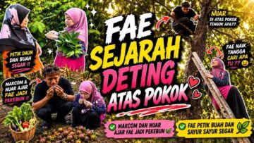 FAE SEJARAH MENCIPTA SEJARAH DI ATAS POKOK MANGGIS‼️MAKCOM DAN MANGGIS MENJADI SAKSI