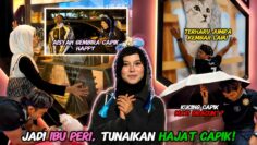 KUCING CAPIK DIR4CUN ❗️ HILANG RINDU CAPIK JUMPA LABU ❗️