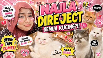 NAJLA GAGAL UNTUK MELEPASKAN RINDU‼️SEMUA KUCING MENGG4NAS⁉️