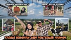NIKMATI HARI BERSAMA HAIWAN!!! RINA GELI DGN IPAN!!! CRINGE IS BACK!!!