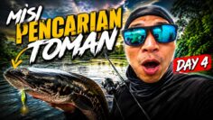 DAY 4 EKSPIDISI TOMAN | JUMPA SPOT BARU!!