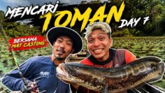 EP 7 EKSPIDISI TOMAN | CABARAN HEAVY SPOT ‼️ JUMPA WORLD RECORD‼️