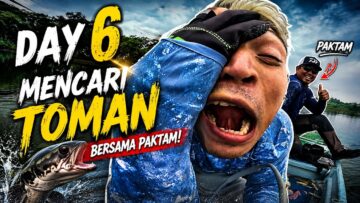 EP6 EKSPIDISI TOMAN | PAKTAM JOKI GILA‼️ SPOT PAYA INDAH WETLANDS ‼️