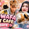 ZUWAFA CAT CAFE DATE‼️ NAJLA DAH TAK KESEORANGAN⁉️