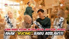 KUCING BARU ASSLAH!! HARRY TEMAN ASSLAH AMBIL ADIK BARU UNTUK TANJIRO DAN GOKU?!