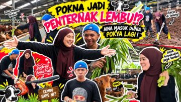 POKYA KENA SONDOL DENGAN LEMBU !? AINA MENANGIS KETAKUTAN !? POKNA NAK BELA LEMBU !?